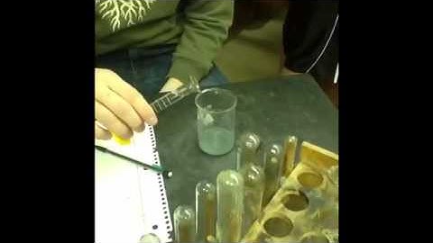 Zinc Iodide Lab