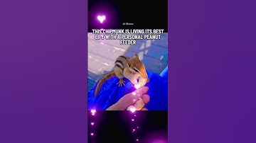 Thumbnail of I am  sad 😔