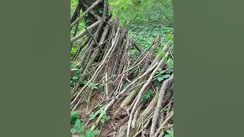 Old abandoned Sasquatch Structure