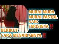 CARA MENAIKAN EMOSI MURAI BATU ‼️ MURAI PASTOL MURAI MUDA