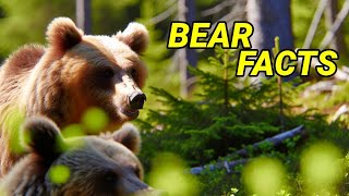 Bear Necessities: Uncovering the Truths of Bear Life by Victor Van Buren 121 views 13 days ago 7 minutes, 57 seconds