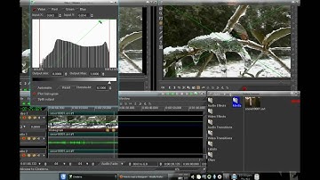 Cinelerra: Color Correction/Histogram