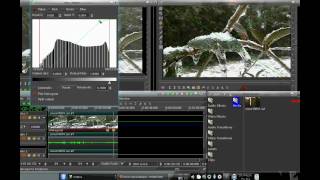 Cinelerra: Color Correction/Histogram