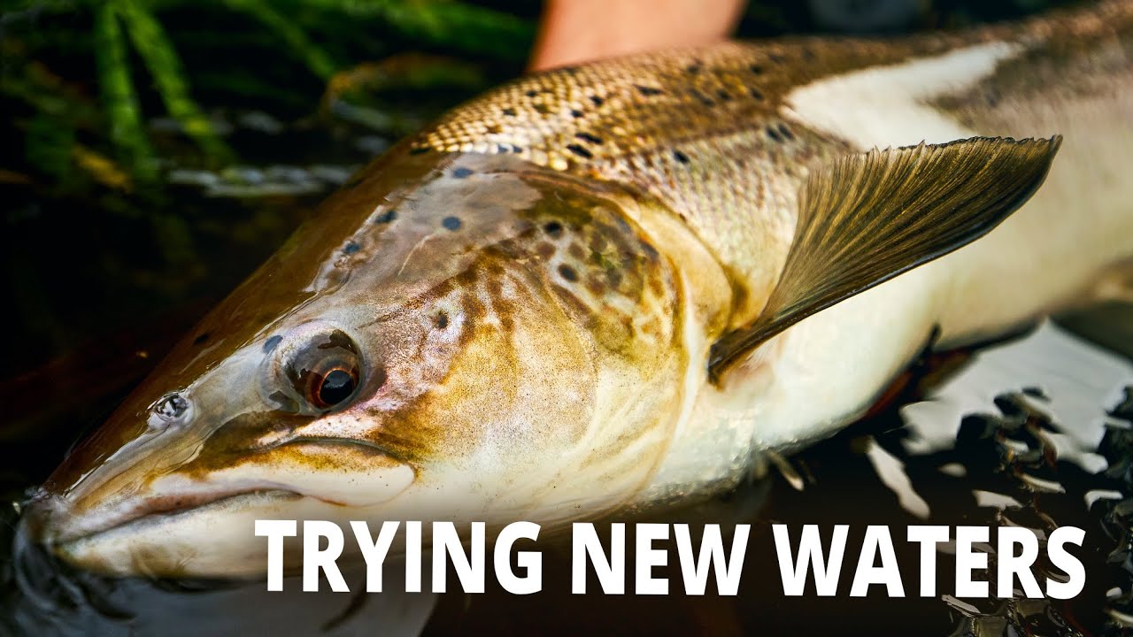 Crazy Salmon Fishing - Trying New Salmon Waters (first time here!)