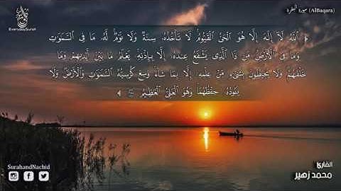 سورة البقرة تلاوة تهتز لها القلوب للقارئ محمد زهير Surat Al Baqarah