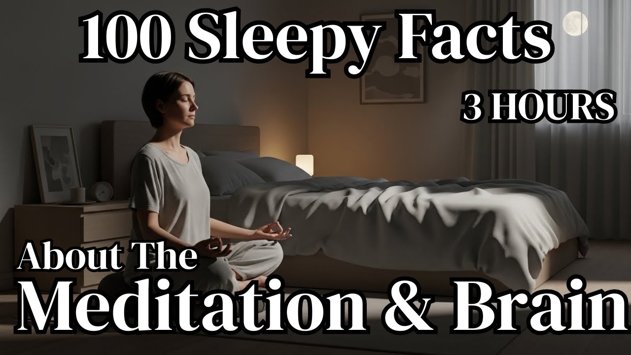 The Most Relaxing Facts About Meditation & the Brain to Fall Asleep To |  Sleepy Science Stories