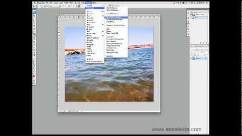 Photoshop History Palette