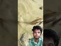 Asian village el fishing #shorts #fishing #fish