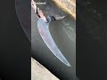 WHAT YOU NEED TO KNOW!!! This is how to plate steel to make it more perfect #blacksmith #forging