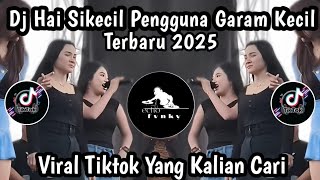 Download Lagu DJ HAI SIKECIL PENGGUNA GARAM KECIL || DJ GARAM CINA VIRAL TIKTOK TERBARU YANG KALIAN CARI MP3 Download Lagu DJ HAI SIKECIL PENGGUNA GARAM KECIL || DJ GARAM CINA VIRAL TIKTOK TERBARU YANG KALIAN CARI MP3
