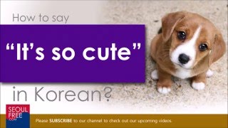 How to say 'It's so cute!' in Korean - Learn Language