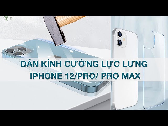 Cường lực lưng iPhone 12 Pro Max - iPhone 12 / Mini / Pro - Dán lưng iPhone 12