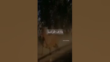 إِنَّ الْإِنسَانَ لِرَبِّهِ لَكَنُودٌ | القارئ أحمد النفيس برواية السوسي بن أبي عمرو