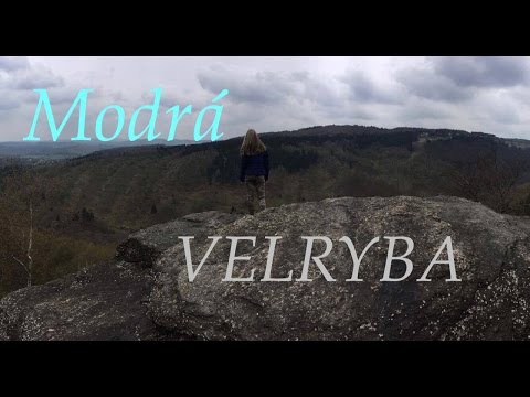 Video: Modrá Veľryba