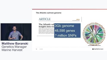 Salmon breeding transformed Marine Harvest enters the genomic era with Axiom genotyping technology -