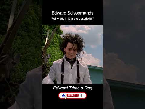 Edward Scissorhands Trim a Dog  #shorts #johnnydepp #movierecap