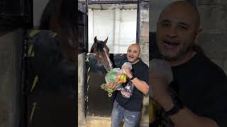اهي هي دي الهدايه ولا بلاش 😂