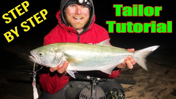 How to catch Tailor on the beach - Fishing - BCF 