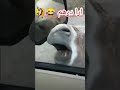 ارا درهم