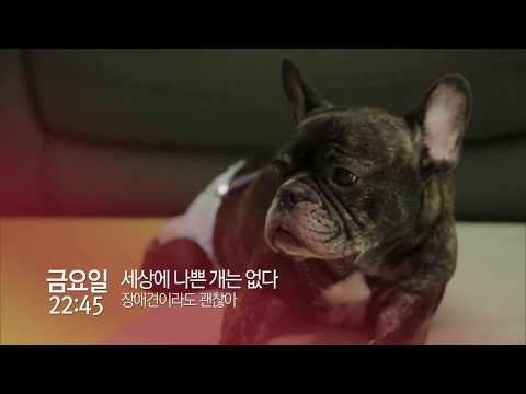 <strong>EBS</strong> 목금 프로그램 <strong>안내</strong> (10월 3주)_SB