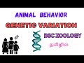 genetic variation in tamil/Genetic variation in bsc zoology/ genetic variation/animal behavior #bsc