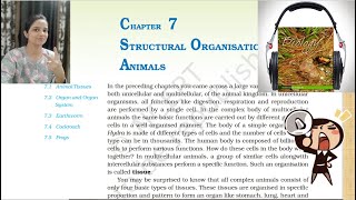 Class11 Ch7 Structural Organization in Animals NCERT Biology(Reading Only)|NCERT Class11 Audio|Part2