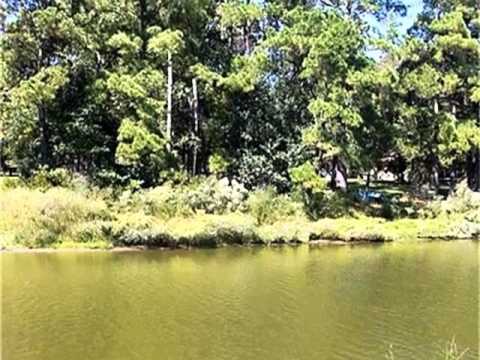 4 Cypress Bend Dr, Huntsville, TX home video tour