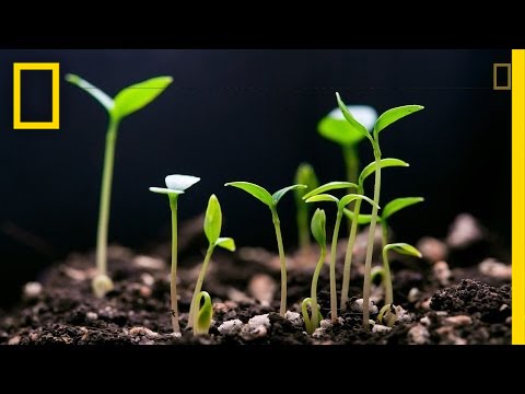How Dirt Can Help Slow Climate Change | National Geographic