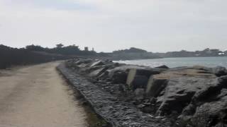 La Turballe Mare Trail 2017