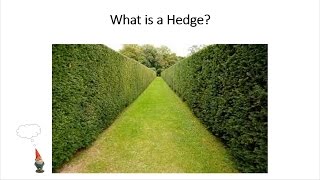 Hedging Concepts