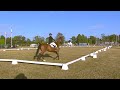 RE-LIVE | Dressage Test - 1st Day Juniors - FEI Eventing European Championship for Juniors
