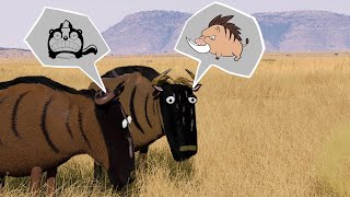 Savanna version - Farting wild boar ( #cartoon  )