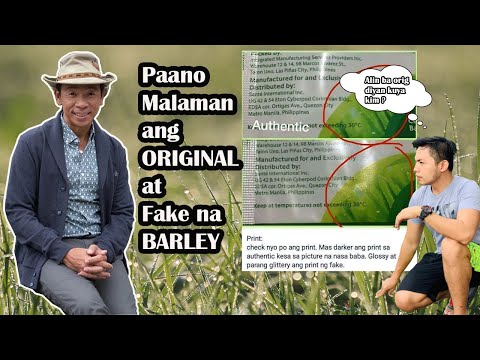 Video: Kung Paano Lumaki Ang Barley