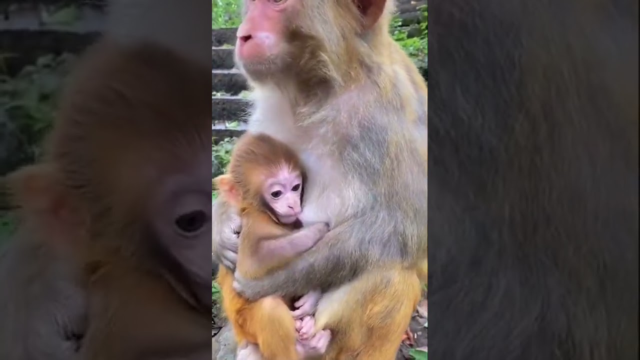 Feeding Time ♾ 😍🥰 