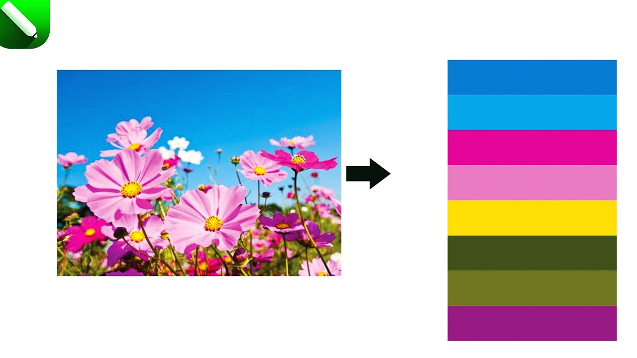 Create Color Swatch From Any Image In CorelDraw (Tutorial) - YouTube