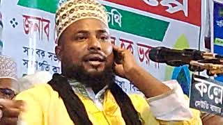 ইসলামি আইন প্রতিষ্ঠা হলেই কি সব ইসলামি বিধান বাস্তবায়িত হবে? | ইসলামিক দৃষ্টিকোণ |