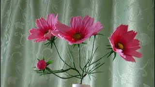 :      (COSMOS)