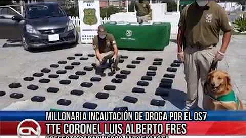 14 mar 2018 OS7 incautó millonario cargamento de droga gracias a perro detector