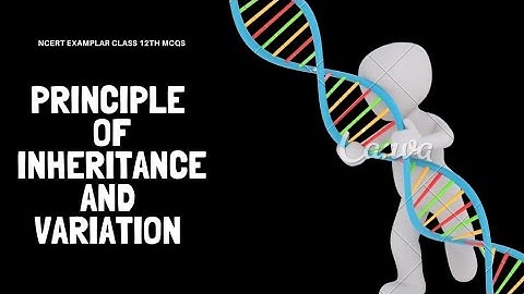 Principle of inheritance and Variation| NCERT EXAMPLAR MCQs| Class 12th Biology MCQs | NEET MCQs