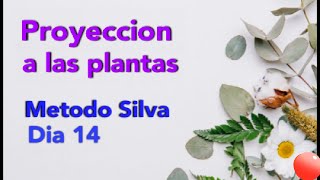 Dia 14 - Proyeccion a las plantas - Metodo Silva Ultracontrol Mental Silva