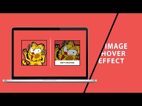 Image Hover Effect | CSS Tutorial