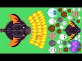 KING DRAGON KILLED GOLDEN EAGLE AQUA YETI WHITE & BLACK RHINO IN MOPE (CHALLENGE)