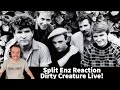 Split Enz Reaction - Dirty Creature Live! Song Reaction!