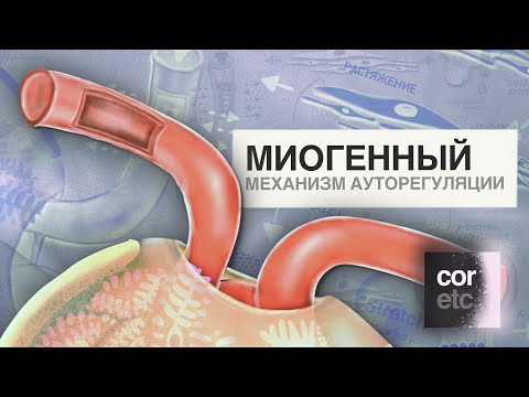 Видео: Что подразумевается под термином миогенный?