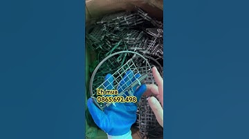 Kẹp bán Nguyệt bẫy chim cò chuột siêu hiệu quả