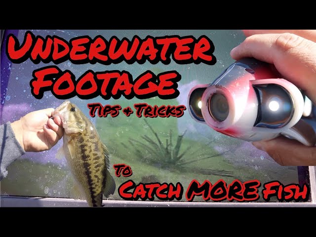 LIVE Underwater Camera Footage of Bass Biting Lures & Their Behavior