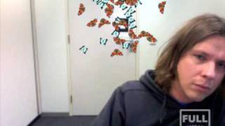 Augmented reality - Butterflies @ the office