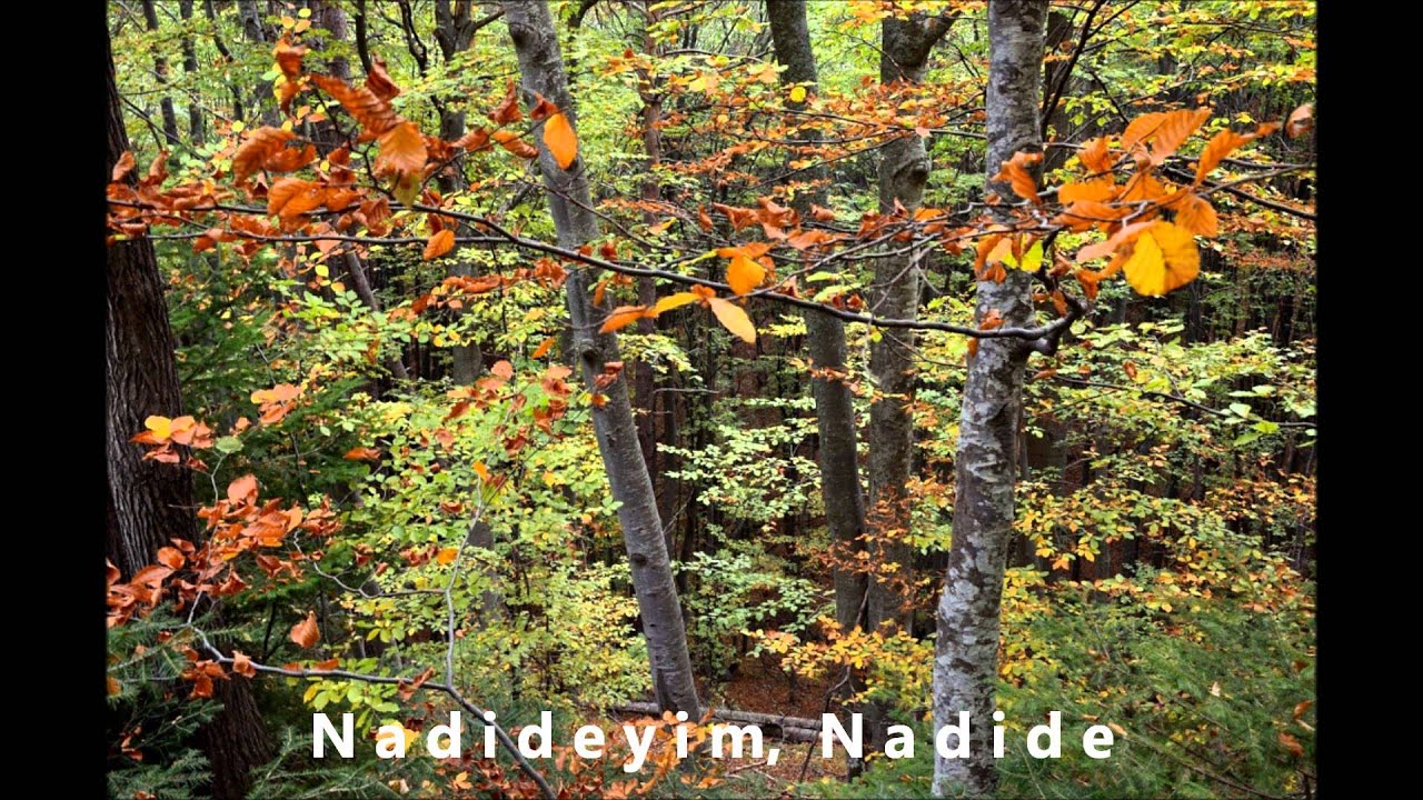 Nadideyim, Nadide - Hafize Beysimova & Osman Azizov