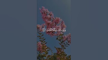 كَأَنَّهُنَّ الْيَاقُوتُ وَالْمَرْجَانُ #سورة_الرحمن بصوت| محمد سالم غازي