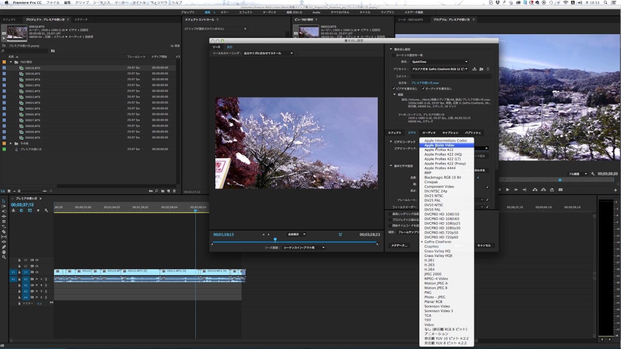 映像メディア制作塾 Adobe Premiere Pro 動画ファイル形式と圧縮コーデック Youtube